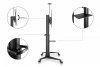 Digitus Stojak mobilny pojedynczy z półką i uchwytem na kamerę, 1xLCD max. 120 max. 140kg, VESA max. 1000x600